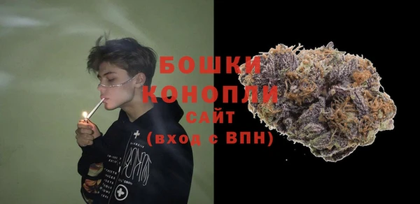 Альфа ПВП Ельня