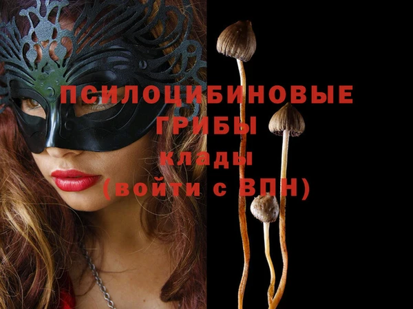марки nbome Няндома