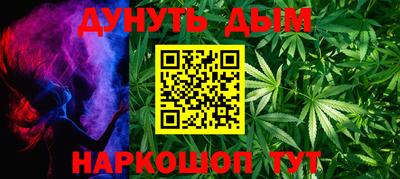 шишки Заволжье