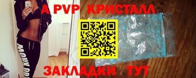 шишки Заволжье