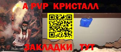 шишки Заволжье