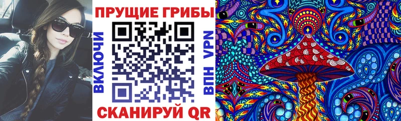 Галлюциногенные грибы Psilocybine cubensis  Ногинск 