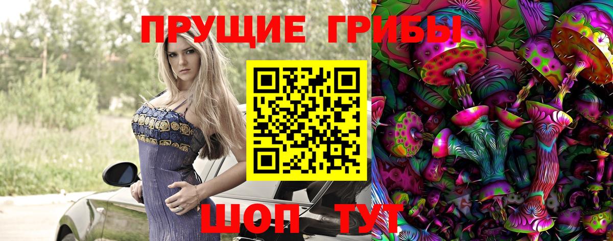 Псилоцибиновые грибы Psilocybe  Вход с VPN  Ногинск 