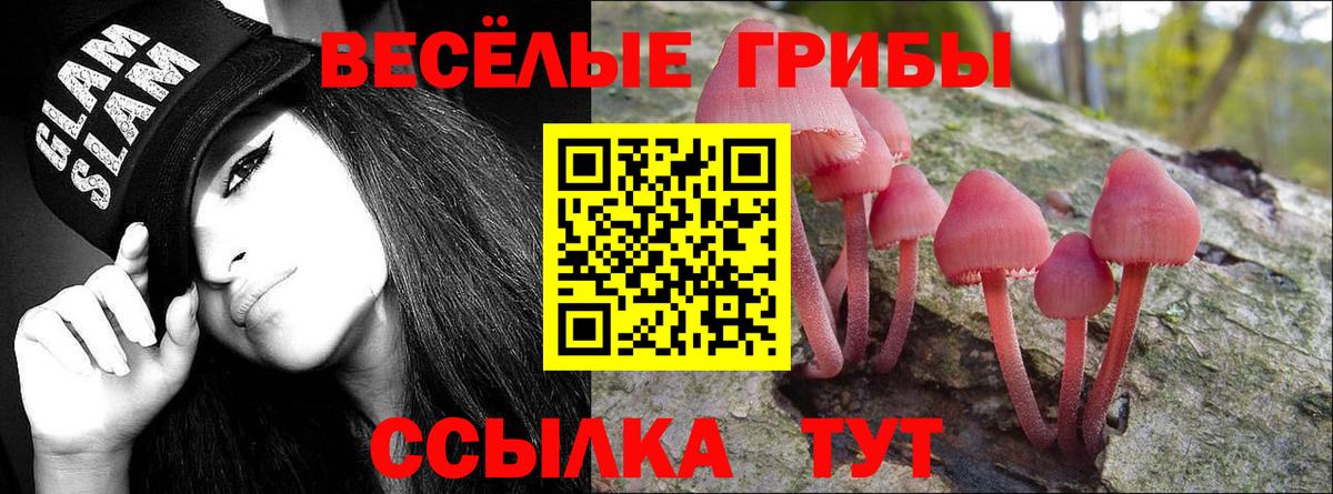 Галлюциногенные грибы Cubensis Ногинск