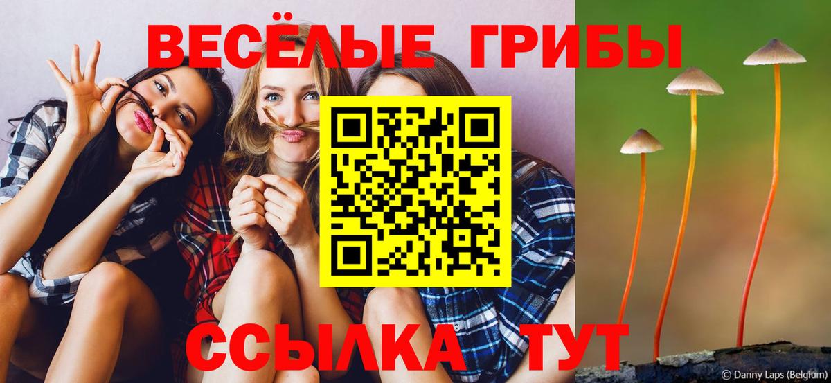 Псилоцибиновые грибы ЛСД Ногинск