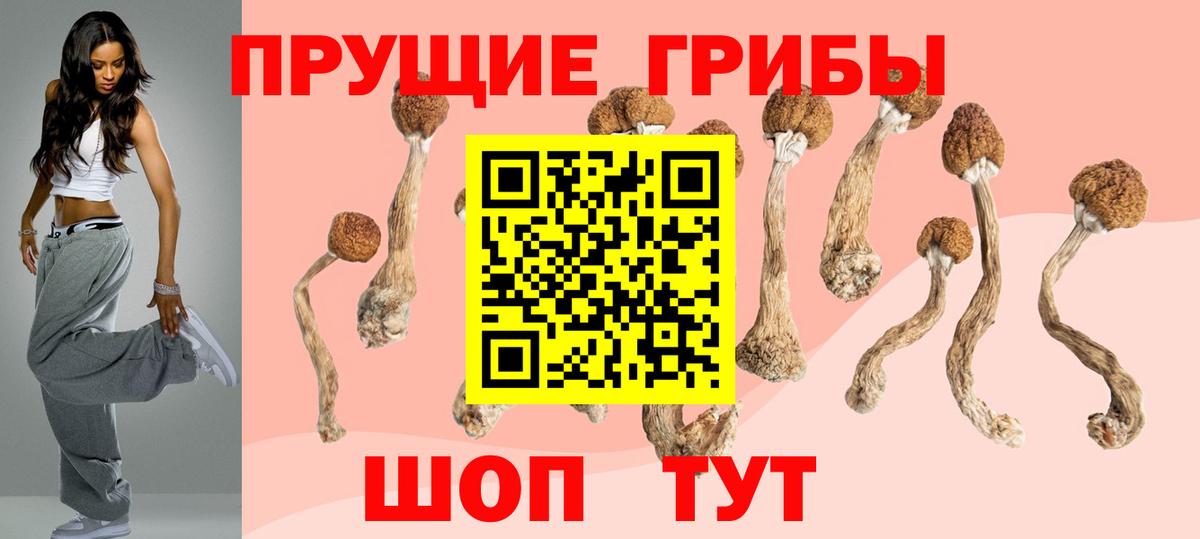 Псилоцибиновые грибы ЛСД  Ногинск  Псилоцибиновые грибы Psilocybe 
