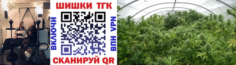 где купить наркотик Ногинск Конопля тримм
